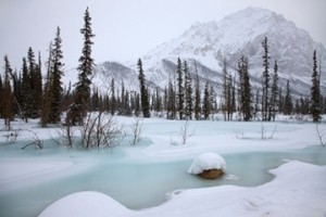 arctic-circle