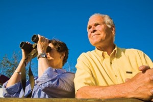 bird_watchers